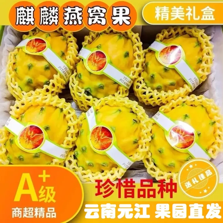 麒麟燕窝果当季现摘水果云南元江热带稀有白心火龙果果园场地直发