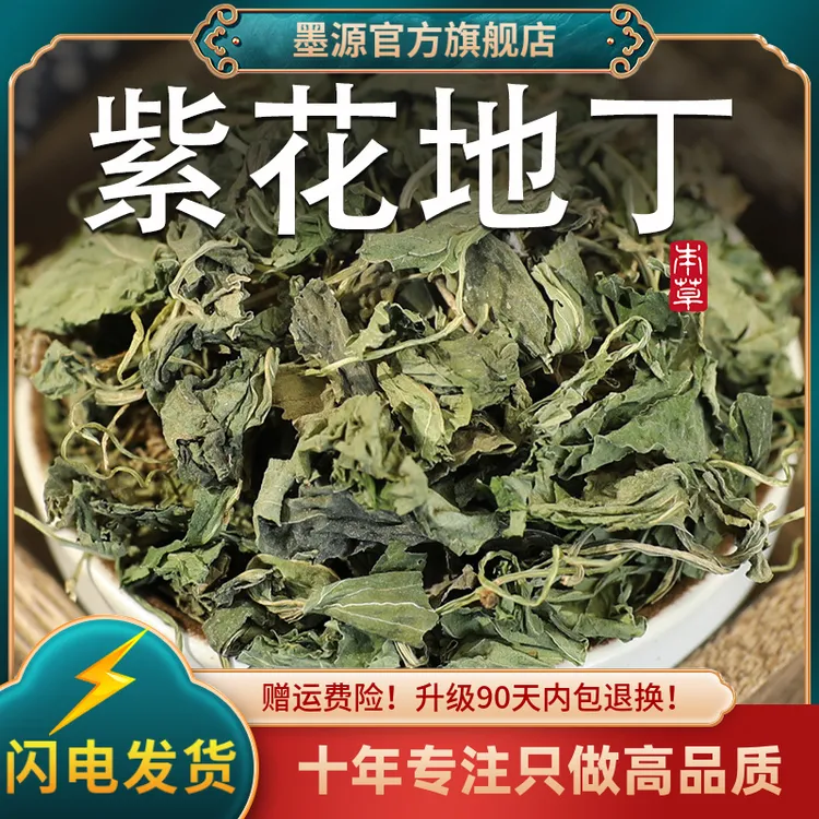 紫花地丁中药材新鲜紫花地丁草紫花地丁茶地丁草中草药干货可打粉