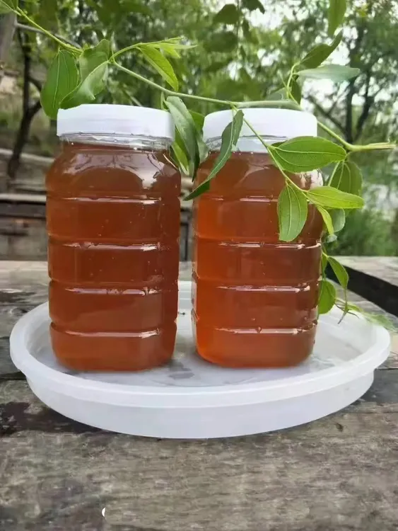 2025年纯蜂蜜新鲜自产天然纯正枣花原蜜