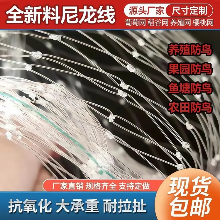 果园防鸟网尼龙丝网果树樱桃葡萄防鸟用网鱼塘天网大棚防护养殖网