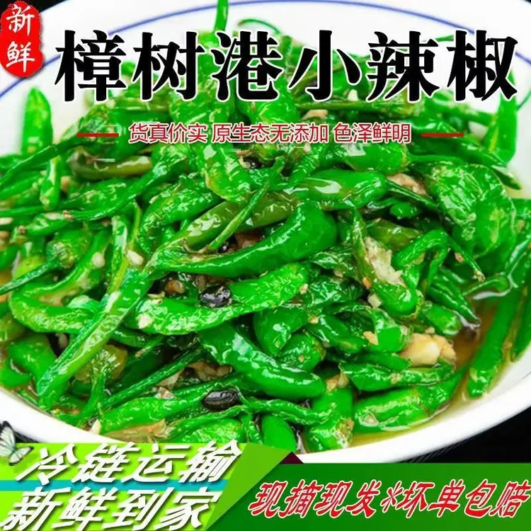 正宗樟树小辣椒微辣中辣湖南品种新鲜青椒虎皮青椒新鲜本地现摘