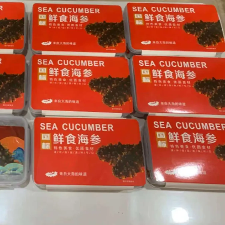 【包邮】大连即食海参辽参 冷冻 6-8-10头 口感鲜美Q脆 弹性十足
