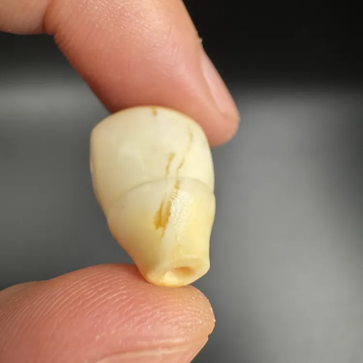 蜜蜡三通白蜡妖花对孔12厚12.2高18.4文玩配饰基地质检单珠弟子珠