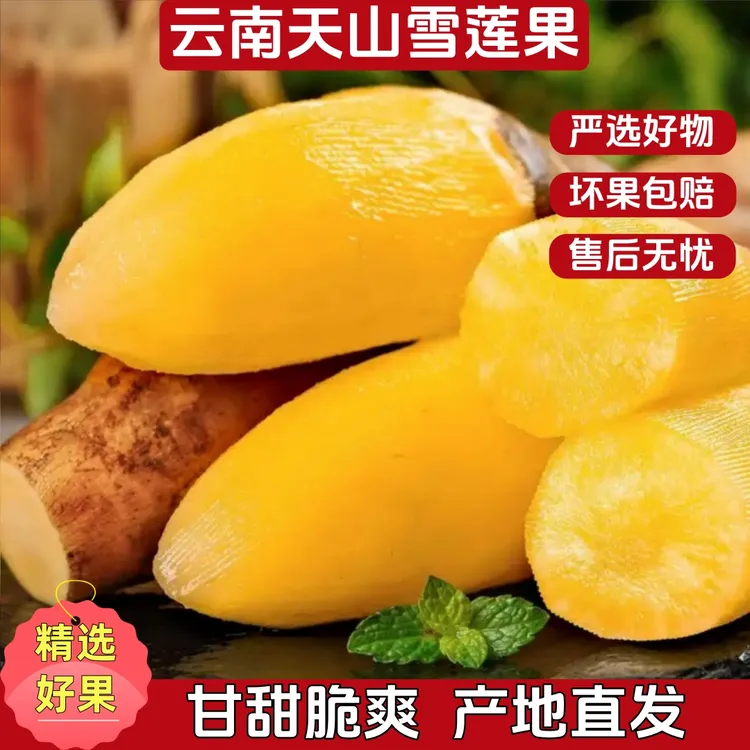 【雪莲果】云南雪莲果皮薄肉脆清甜多汁产地直发净重5斤