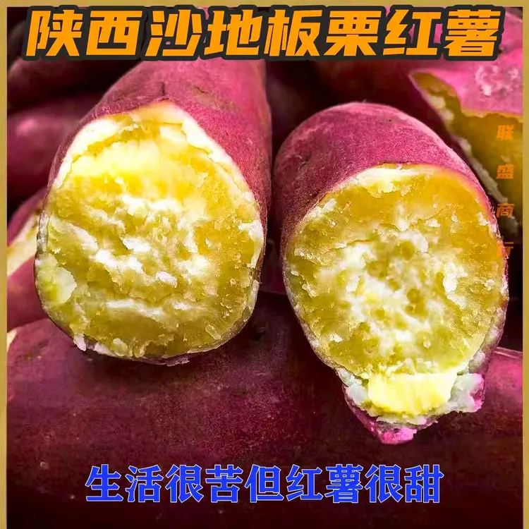 2025年陕西正宗沙地板栗红薯地瓜红皮地瓜软糯香甜番薯糖心蜜薯