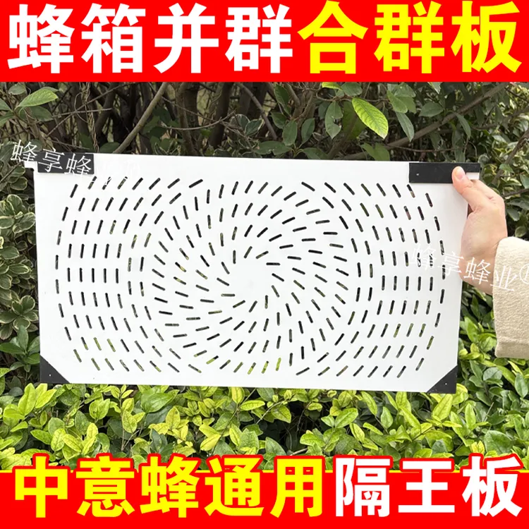 蜜蜂合群板通用蜂箱合并合群中意蜂适用隔王板蜂群合群并群隔板