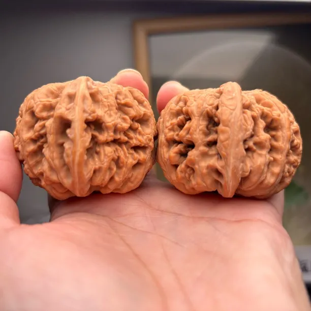 精品高端球体平谷大粗筋边48肚51高40一物一图手把件