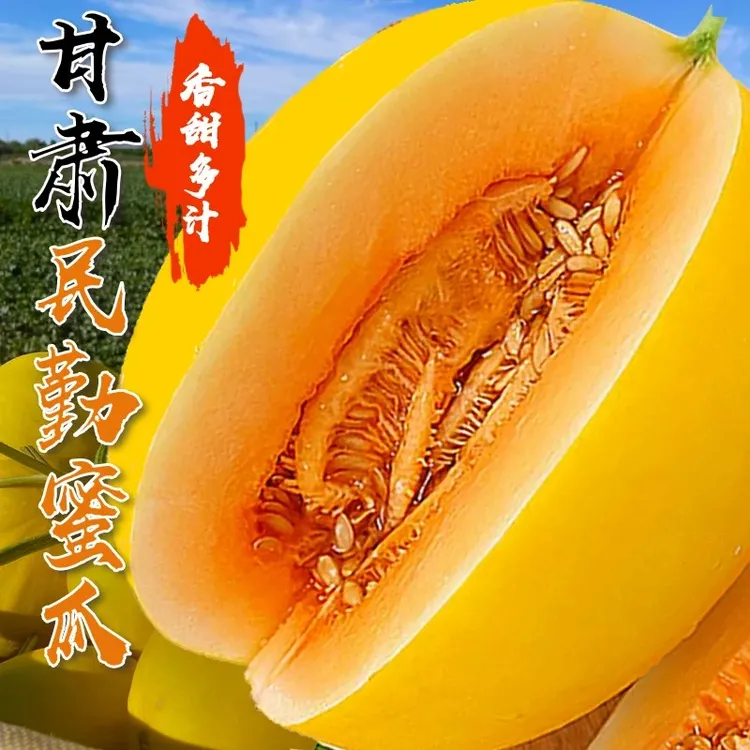 【爆甜】甘肃民勤头茬沙漠黄河蜜瓜当季水果冰糖甜瓜香瓜软糯多汁