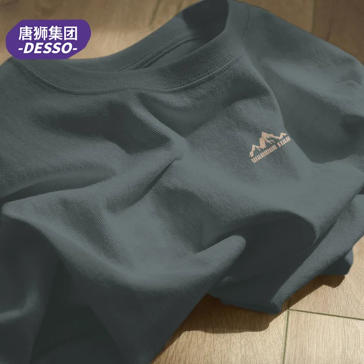 唐狮集团DESSO纯棉男士长袖t恤2025新款春秋季圆领上衣休闲打底衫