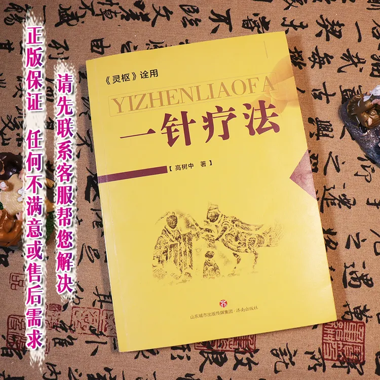 一针疗法 灵枢诠用 高树中 经络病症脏腑病症时间性病症以及其他
