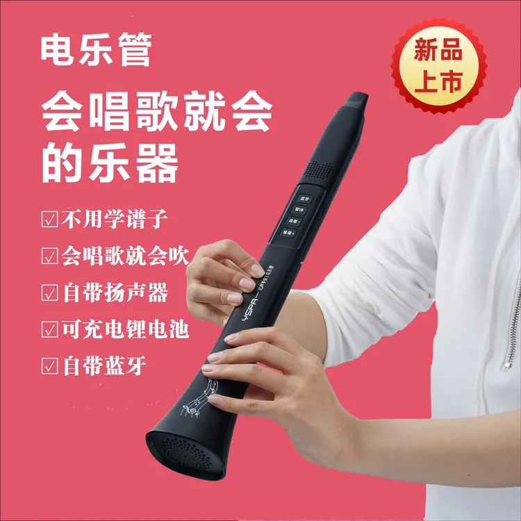 不用学乐谱-会唱歌就会-带蓝牙 音箱 可以充电-增强版