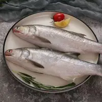 【三姐专属】山东威海发货纯野生马友鱼 4斤4-5条
