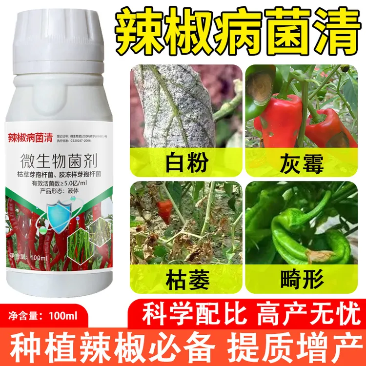 辣椒专用病菌清辣椒卷叶黄叶辣椒炭疽青枯白粉灰霉黑斑微生物菌剂