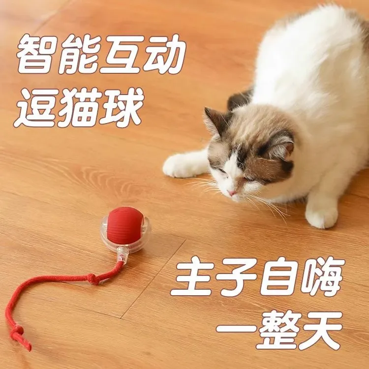 (包邮)猫狗玩具自动遛狗球宠物小狗自嗨解闷耐咬电动智能逗狗神器