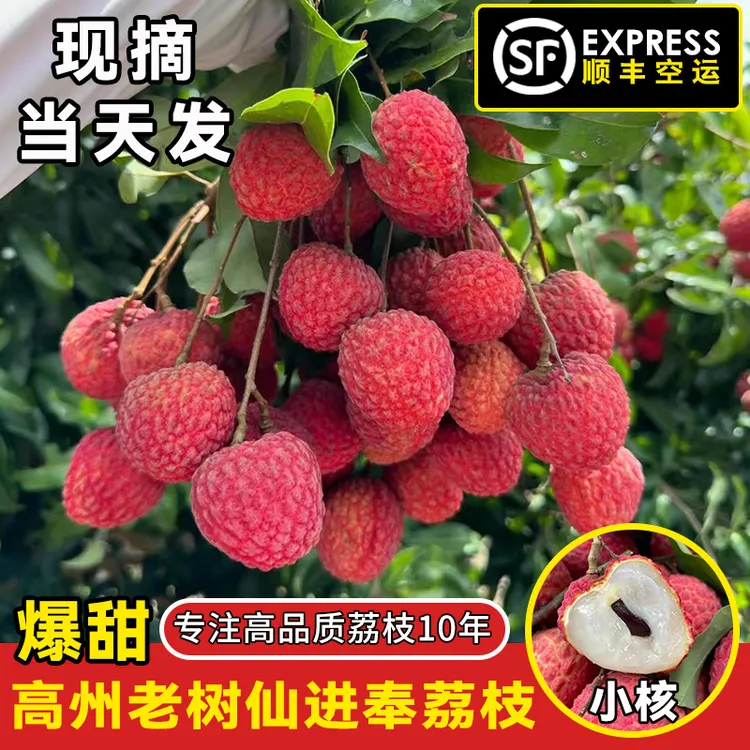 【顺丰空运/冷链】广东高州老树仙进奉桂味荔枝3斤5斤新鲜应季水果
