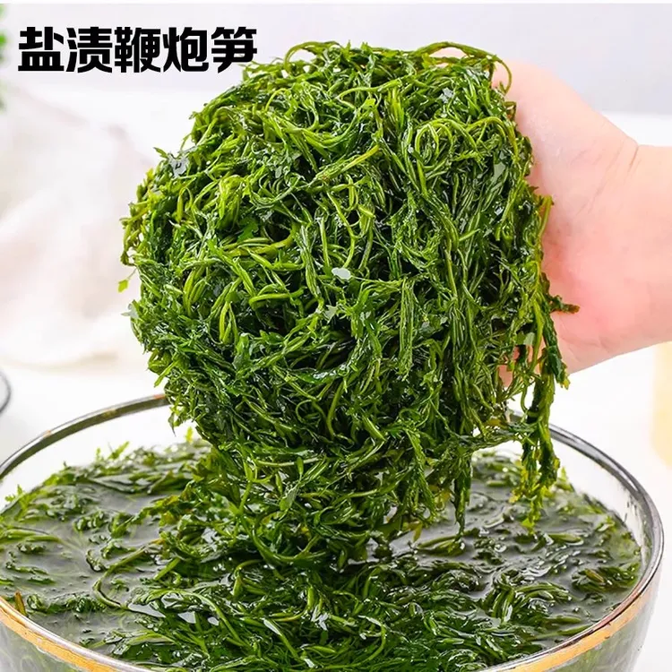  【净重5斤】盐渍鞭炮笋马尾藻凉拌菜CXY