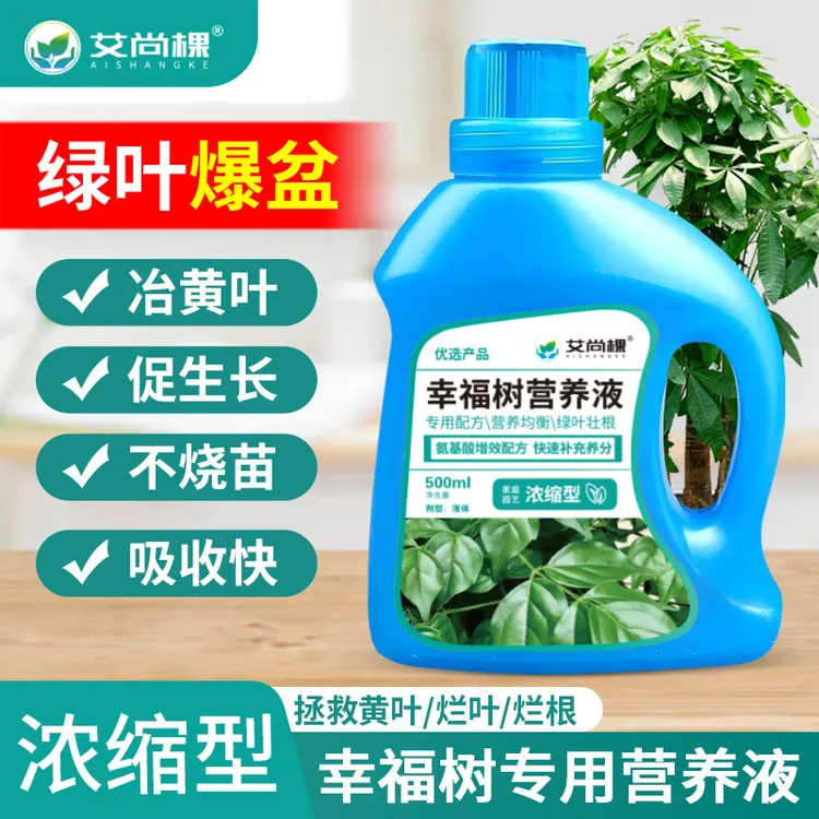幸福树专用营养液高浓缩型室内盆栽花卉花肥料生根液金钱树龙血树商品图