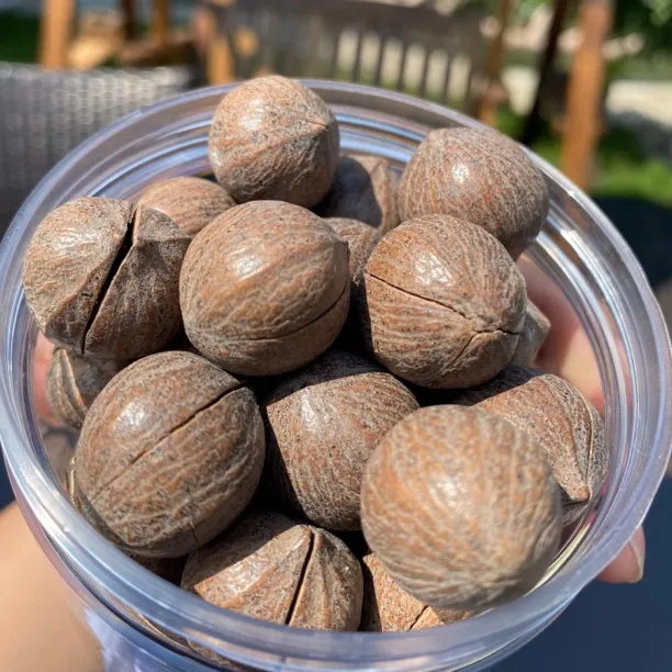 2025年新货正宗临安非手剥原籽山核桃特大籽罐装坚果送工具