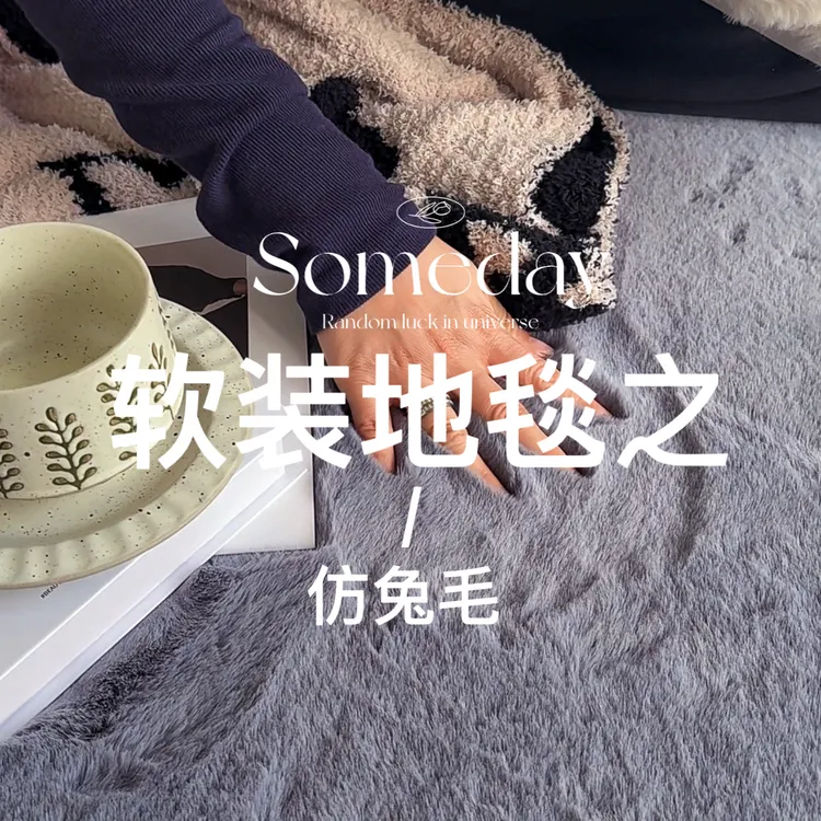 冬季加厚仿兔毛家用床边毯飘窗客厅现代意式简约满铺床边毯仿兔毛