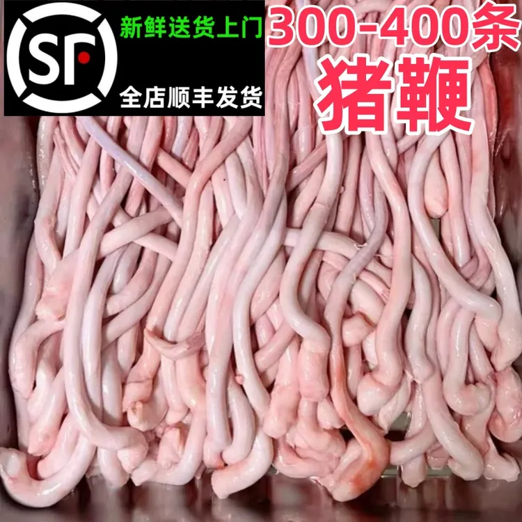猪鞭300-400条20斤商用猪小第新鲜农家土猪鞭烧烤爆炒火锅食材