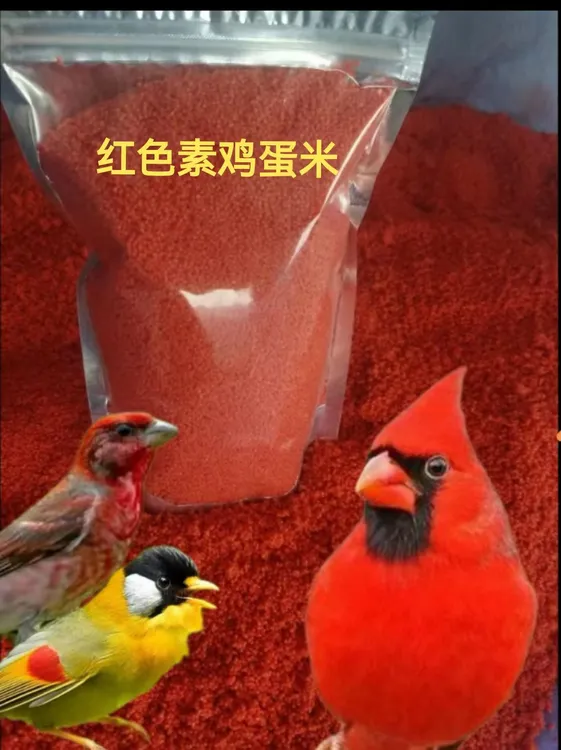 红色素鸡蛋米【鸟上色快】