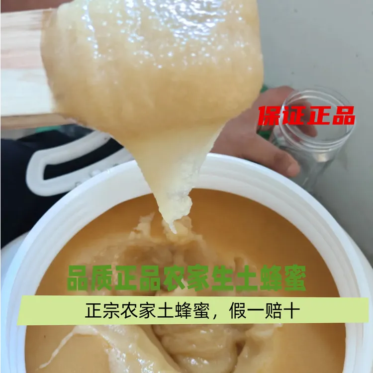 正宗甘肃深山土蜂蜜
