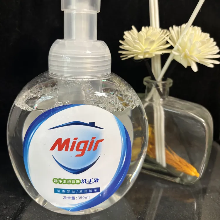 洗手液便携装清爽小瓶家用外出适用350ml×2瓶