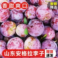 【顺丰送上门】山东安格拉李子新鲜水果脱骨红脆李红茵红脆甜整箱5斤山东省