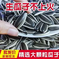 原味生瓜子中大颗粒皮薄易壳休闲零食