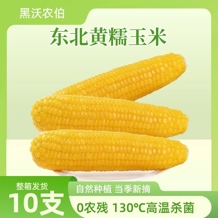 【试吃两根】25年新东北黄糯玉米新鲜软糯香甜玉米正宗东北甜糯玉米