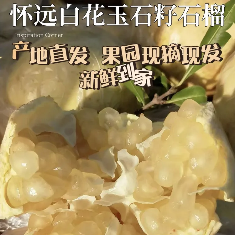 安徽蚌埠怀远产地直发白花玉石籽石榴现摘现发一箱10斤（含箱重）