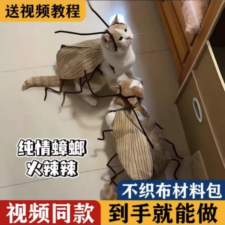 猫咪蟑螂衣服手工diy扭扭棒材料包螂的诱惑装扮cos服搞怪宠物衣服