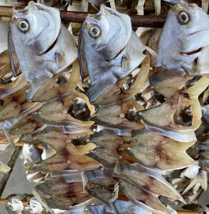 金鲳鱼干 渔民自晒半干 顺丰包邮 广东金昌鱼干