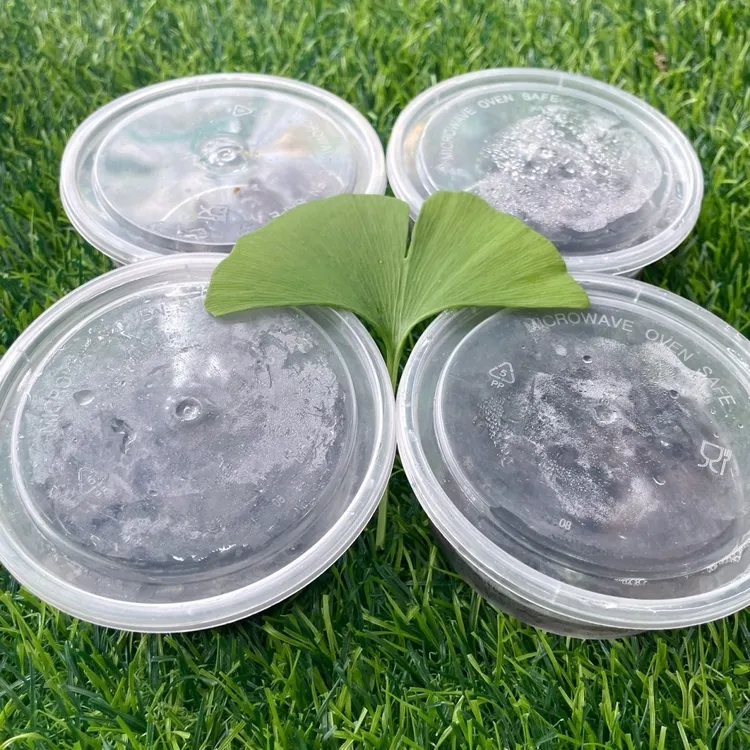 钓鱼蚂蟥小黑条活水蛭不吸血江团鮰鱼饵可钓活饵鱼饵钓鱼蚂蟥饵料