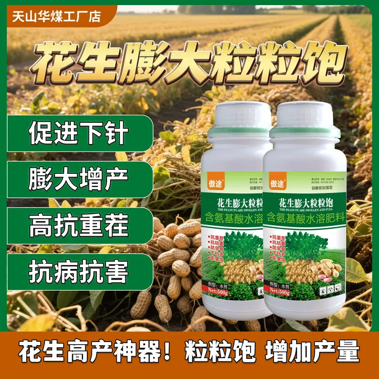 花生膨大分杈下针粒粒饱绿叶壮棵膨大籽粒饱满花生下针灵购买