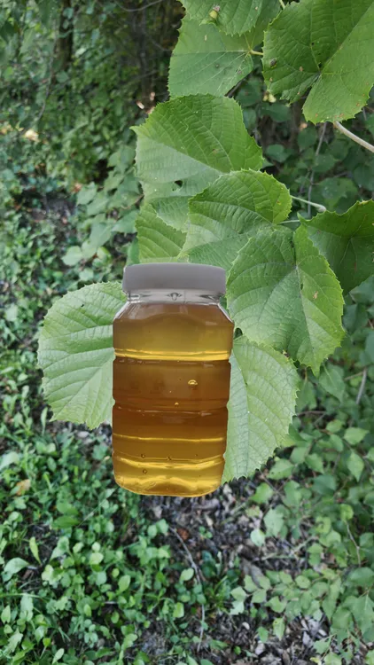 天然蜂蜜初级农产品百花蜜槐花蜜东北椴树蜜蜂蜜品种随机发2斤装