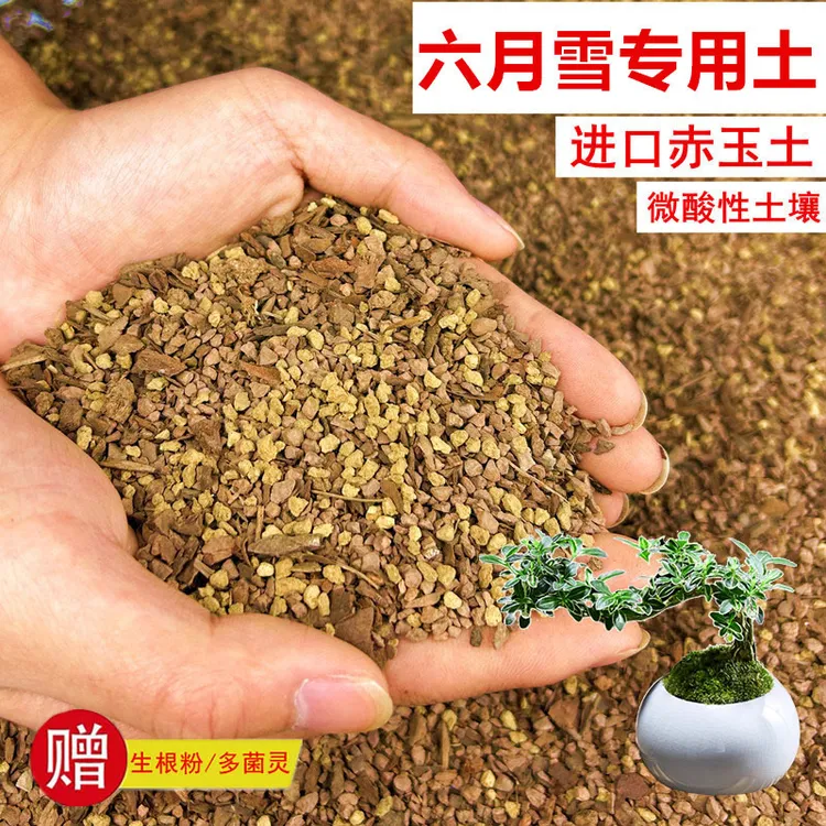 六月雪植物颗粒土透气赤玉土风化土营养土盆景土花卉绿植种植土