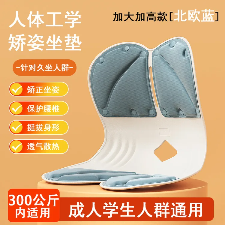 昌峰护矫姿坐垫腰椅人体工学款护腰垫坐垫办公家用必备久坐学生