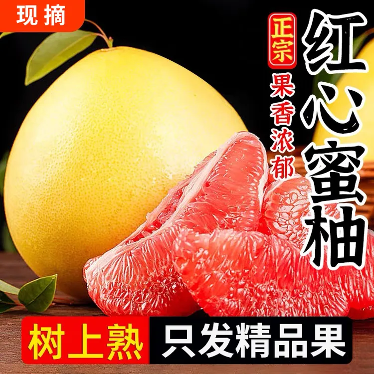 【广东省内专拍】现摘广东梅州红心蜜柚红肉柚子当季新鲜水果