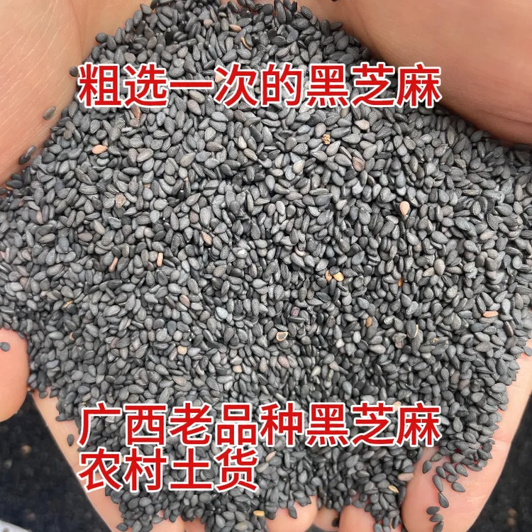 新黑芝麻生黑芝麻油麻广西老品种1斤正宗自留种深山种植香味浓郁