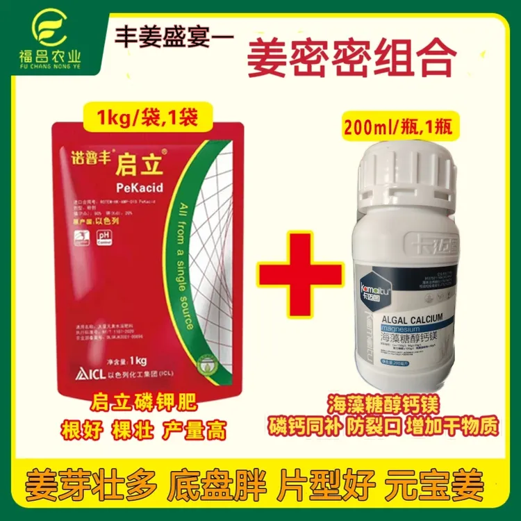 以色列化工丰姜盛宴姜密密组合  不底瘦 片型好 元宝姜