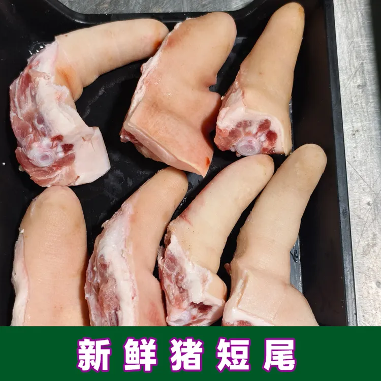 新鲜猪尾巴短尾5斤带少许尾骨肉猪尾优质食材批发煲汤食用猪骨