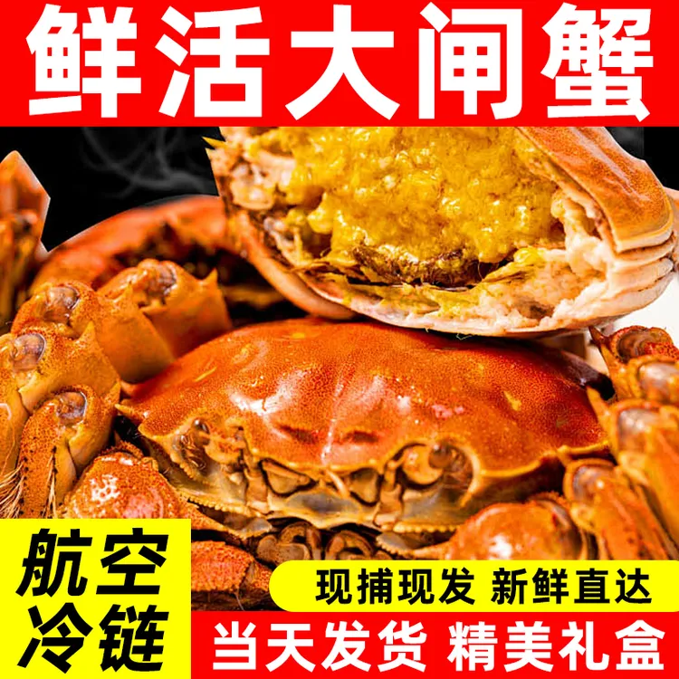 【活蟹现发】江苏2.1两全母精品大闸蟹6/8/10只礼盒装大闸蟹次日达