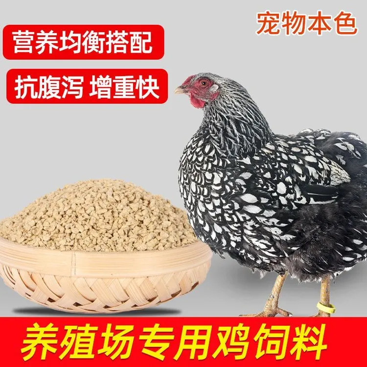 【产蛋鸡破碎颗粒】鸡饲料全价料中大鸡饲料鸡鸭鹅通用颗粒饲料