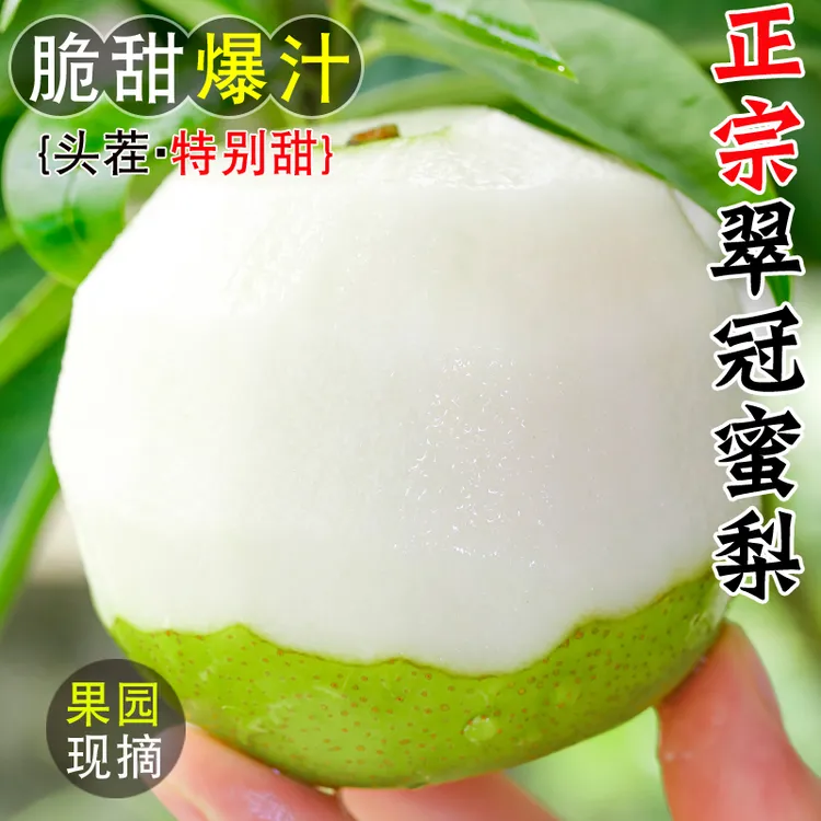 梨子新鲜水果当季整箱4.5斤青皮梨皇冠梨翠冠梨香酥脆蜜早雪梨甜