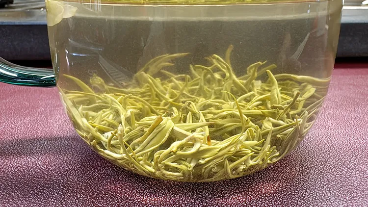 川派茉莉飘雪茶叶