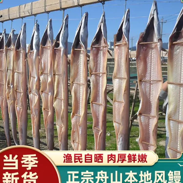舟山海鲜风鳗鱼筒（约2.5斤-3斤左右）