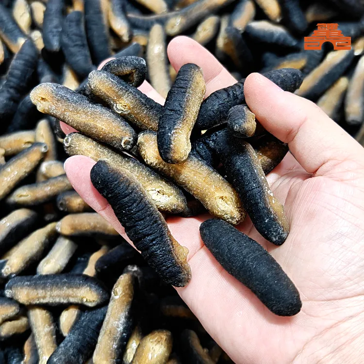 神电味明秃海参一斤半斤高泡发率滋补干货天然好货现货包邮淡干