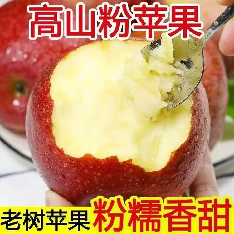 陕西粉面秦冠苹果高山沙甜糯可刮泥脆粉两吃新鲜水果