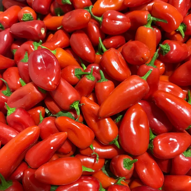 【顺丰发货】新鲜迷你水果彩椒五彩甜椒1/3斤迷你小甜椒